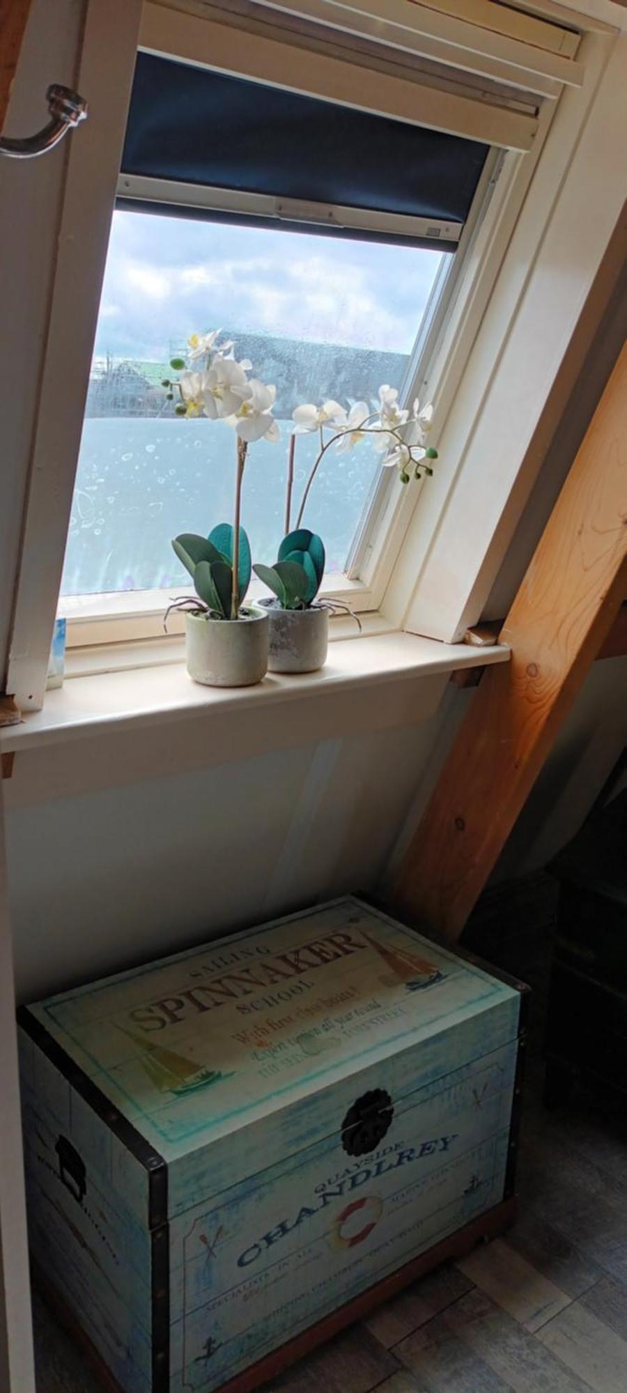 Seehorse Den Oever Bagian luar foto